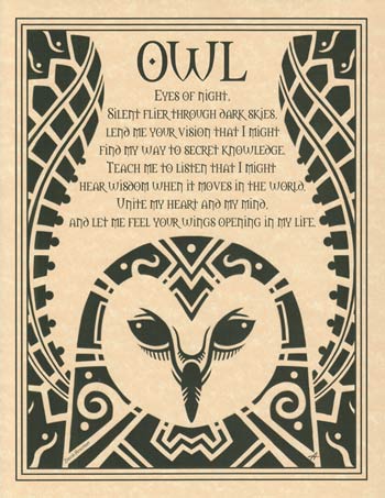 Owl - Click Image to Close