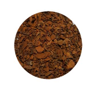 Sassafras Root cut 1oz (Sassafras albidium)